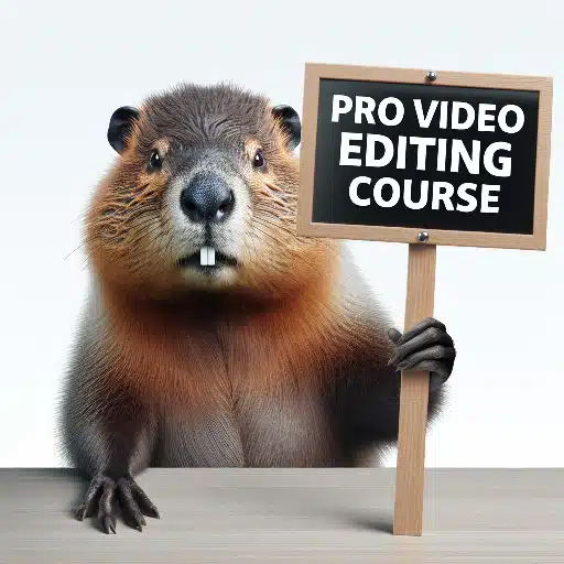 NCH VideoPad Pro 16.57