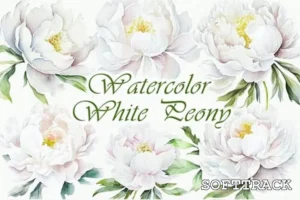 White Peony Watercolor Clipart